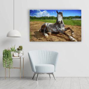 Cuadros para fotos - Magno