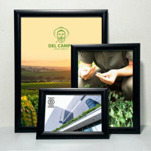 Cuadros y Porta retratos